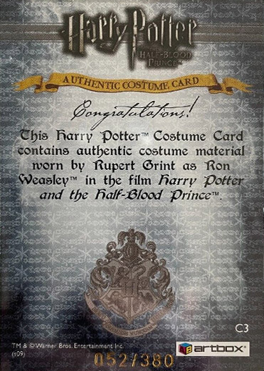 C3 - Ron Weasley's Quidditch Costume - Back