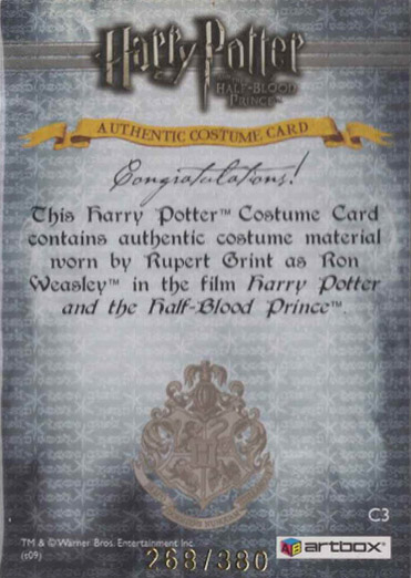 C3 - Ron Weasley's Quidditch Costume - Back