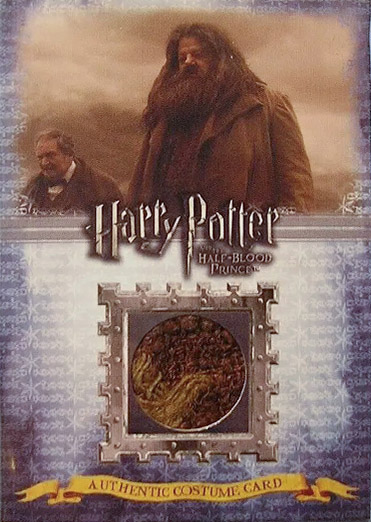 C4 - Rubeus Hagrid's Costume - Front