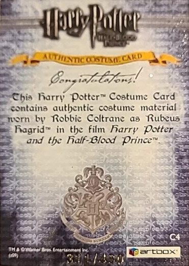 C4 - Rubeus Hagrid's Costume - Back