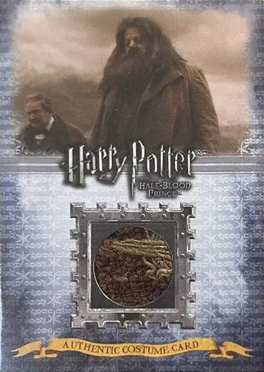 C4 - Rubeus Hagrid's Costume - Front