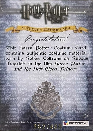 C4 - Rubeus Hagrid's Costume - Back