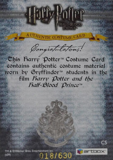 C5 - Gryffindor Students Quidditch Costume - Back