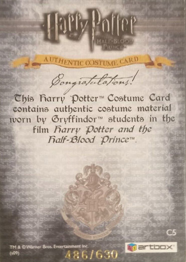 C5 - Gryffindor Students Quidditch Costume - Back