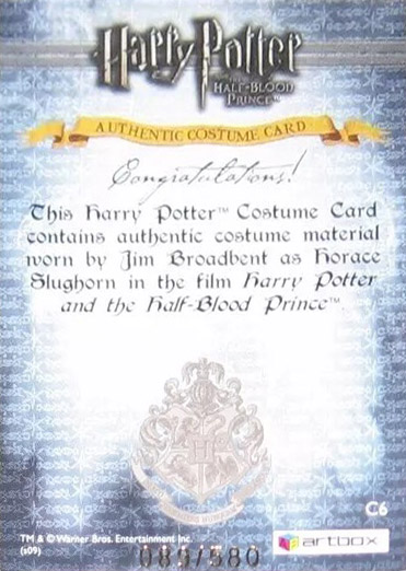 C6 - Horace Slughorn's Jacket - Back