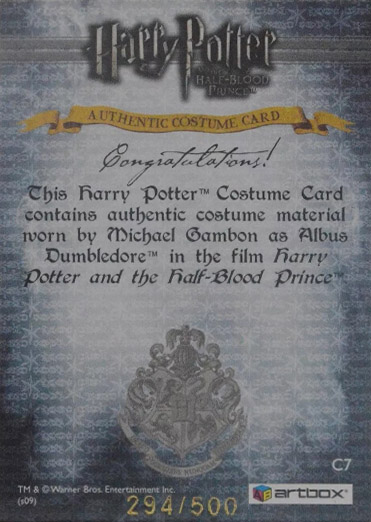 C7 - Albus Dumbledore's Robes - Back
