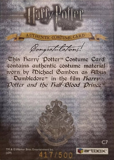 C7 - Albus Dumbledore's Robes - Back
