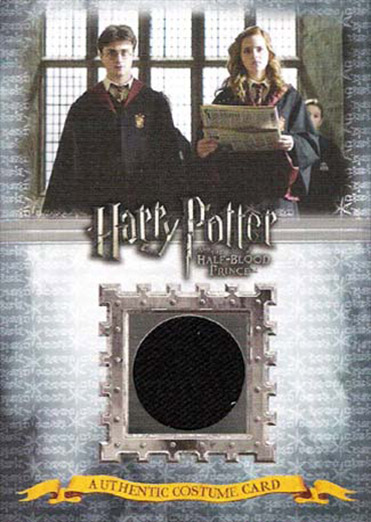 C8 - Gryffindor Students School Robes