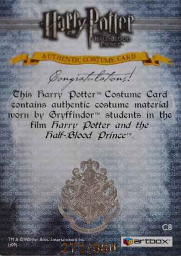 C8 - Gryffindor Students School Robes - Back