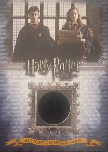 C8 - Gryffindor Students School Robes - Front