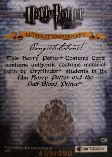 C8 - Gryffindor Students School Robes - Back