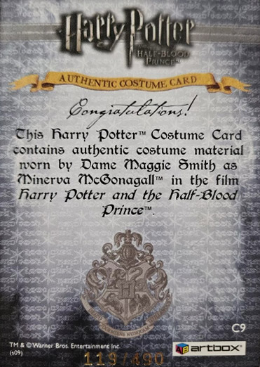 C9 - Minerva McGonagall's Robes - Back