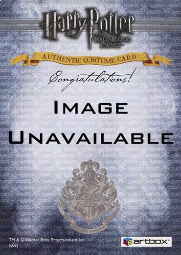 Ci1 - Gryffindor Students School Robes - Back