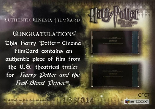 CFC7 - Quidditch Team - Back