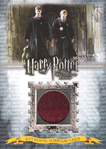 Ci1 - Gryffindor Students School Robes