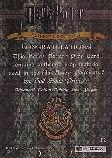 P2 - Advanced Potion-Making Book Pages - Back