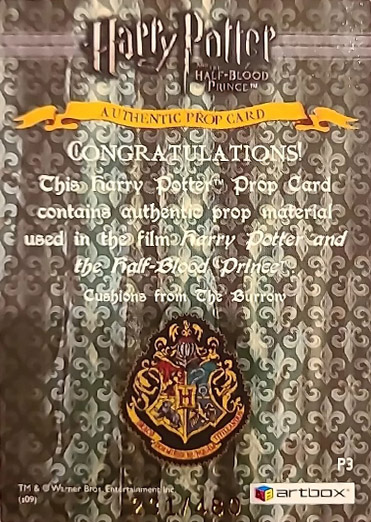 P3 - Cushions from The Burrow - Back