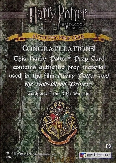 P3 - Cushions from The Burrow - Back