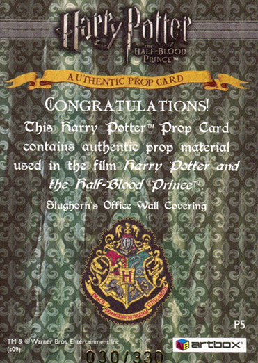 P5 - Slughorn's Office Wall Covering - Back