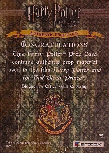 P5 - Slughorn's Office Wall Covering - Back