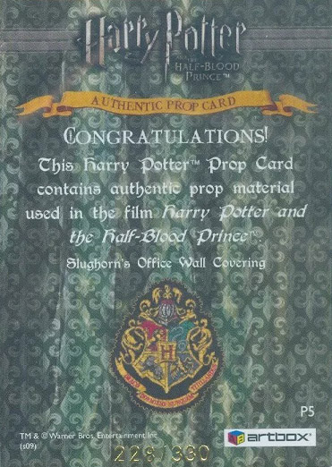 P5 - Slughorn's Office Wall Covering - Back