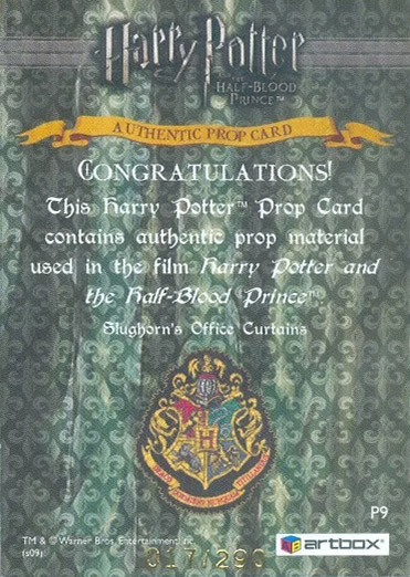 P9 - Slughorn's Office Curtains - Back