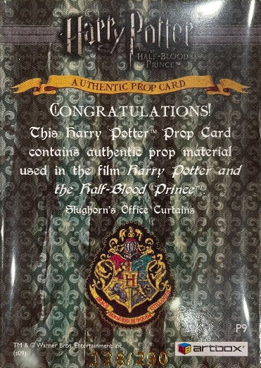 P9 - Slughorn's Office Curtains - Back