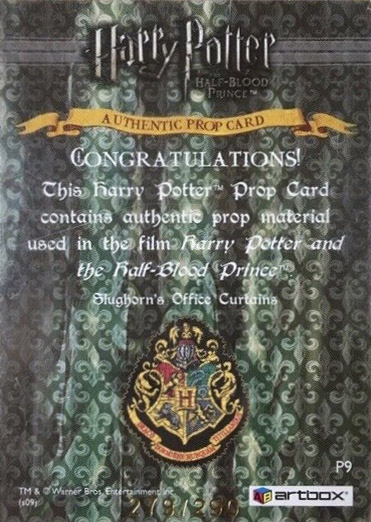 P9 - Slughorn's Office Curtains - Back