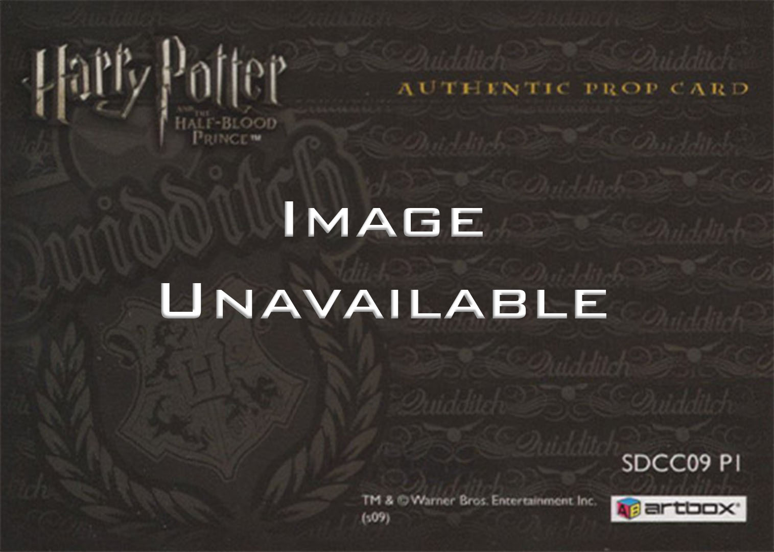 SDCC09 P1 - Gryffindor Quidditch Stand Material - Back
