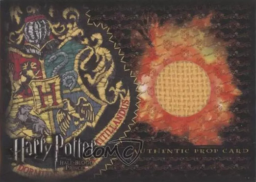 SDCC09 P2 - Hogwarts Quidditch Stand Material - Front