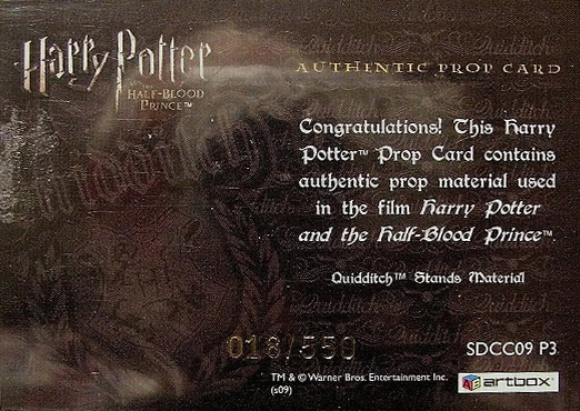 SDCC09 P3 - Slytherin Quidditch Stand Material - Back