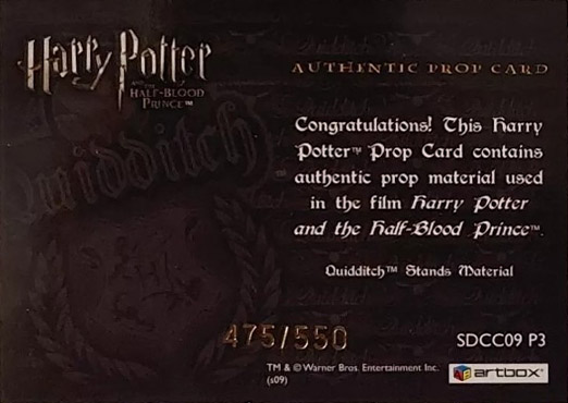 SDCC09 P3 - Slytherin Quidditch Stand Material - Back