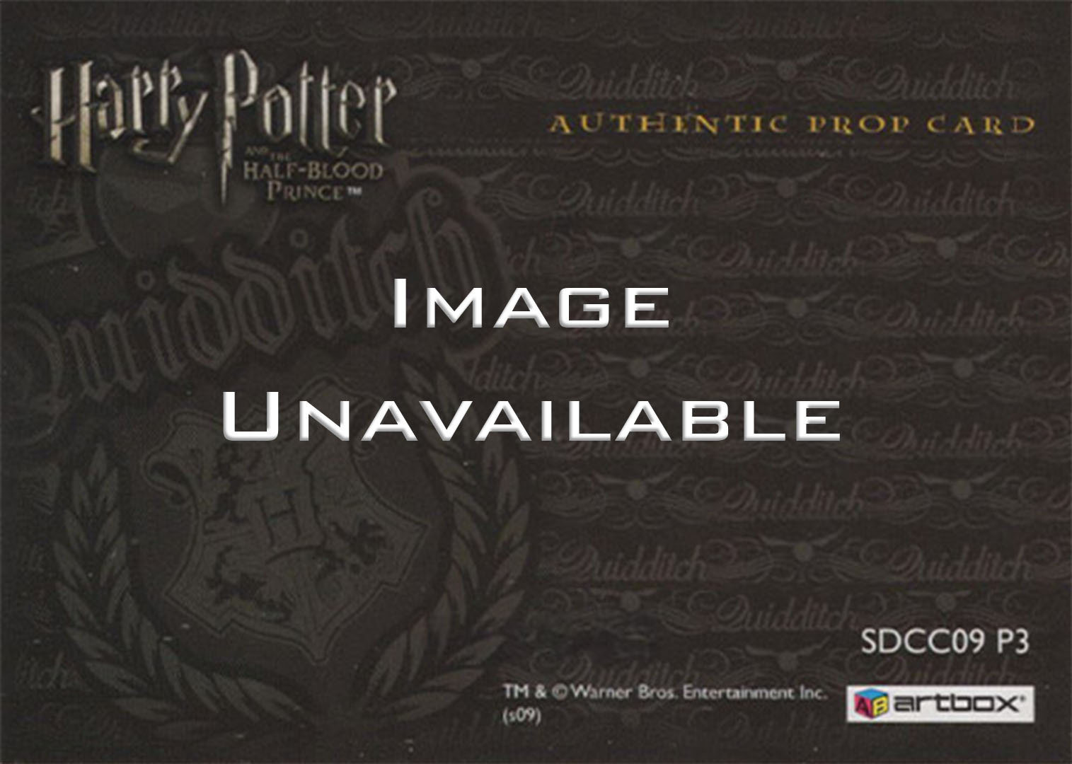 SDCC09 P3 - Slytherin Quidditch Stand Material - Back