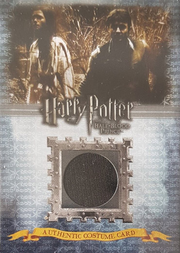 C1 - Harry Potter's Costume