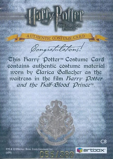 C8 - The Waitress's Dress - Back