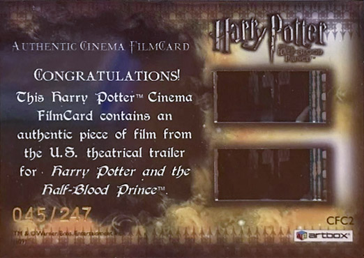 CFC2 - Quidditch Flying - Back