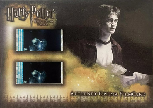 CFC5 - Harry with Papers - Front