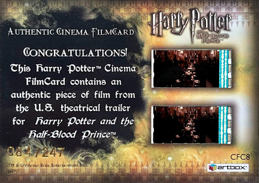 CFC8 - Harry in Nocturne Alley - Back