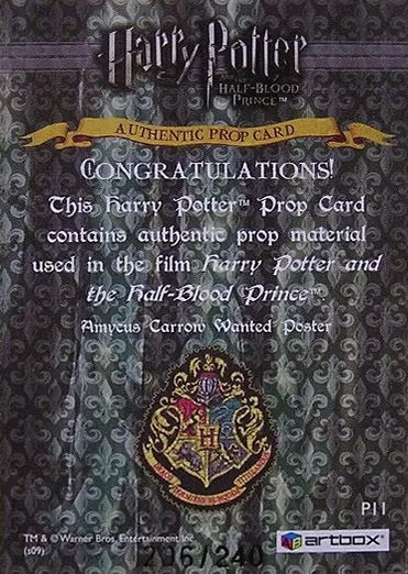 P11 - Amycus Carrow Wanted Poster - Back