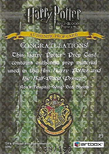 P3 - Ron's Hospital Bed Sheets - Back