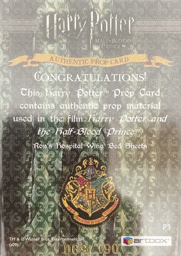 P3 - Ron's Hospital Bed Sheets - Back