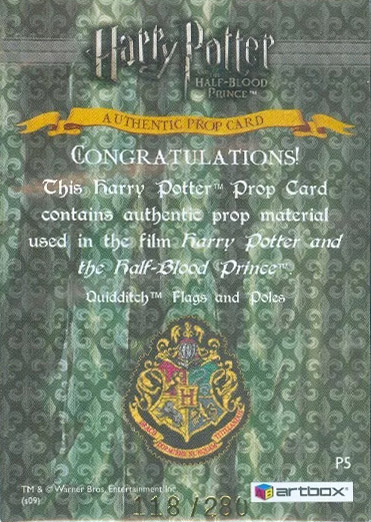 P5 - Quidditch Flags and Poles - Back