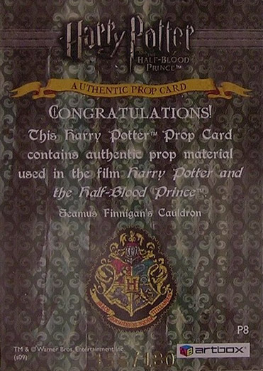 P8 - Seamus Finnegan's Cauldron - Back