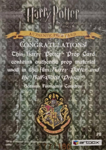 P8 - Seamus Finnegan's Cauldron - Back