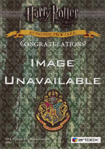 P7 - Framed Pictures from Slughorn's House - Back