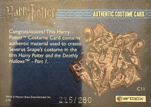 C11 - Severus Snape's Robes - Back