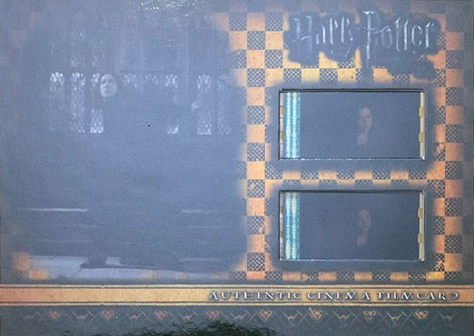 CFC12 - Snape at steps