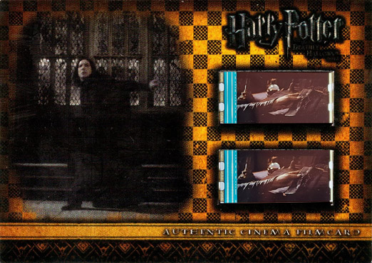 CFC12 - Snape at steps - Front