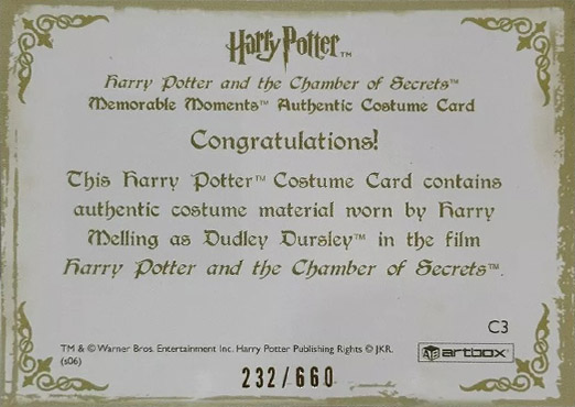 C3 - Dudley Dursley's Suit - Back