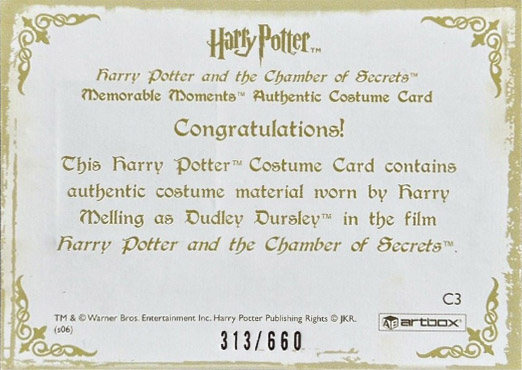 C3 - Dudley Dursley's Suit - Back